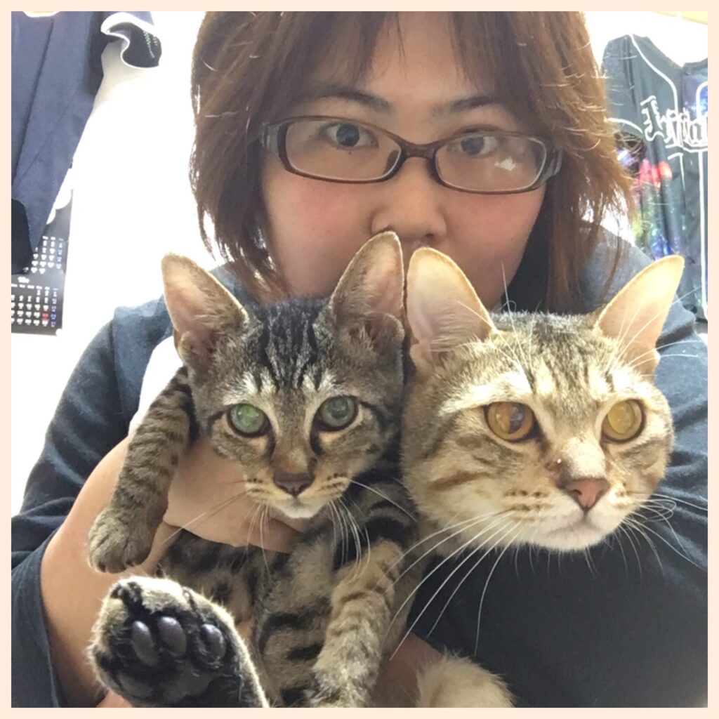 猫ちゃん（大川さん）